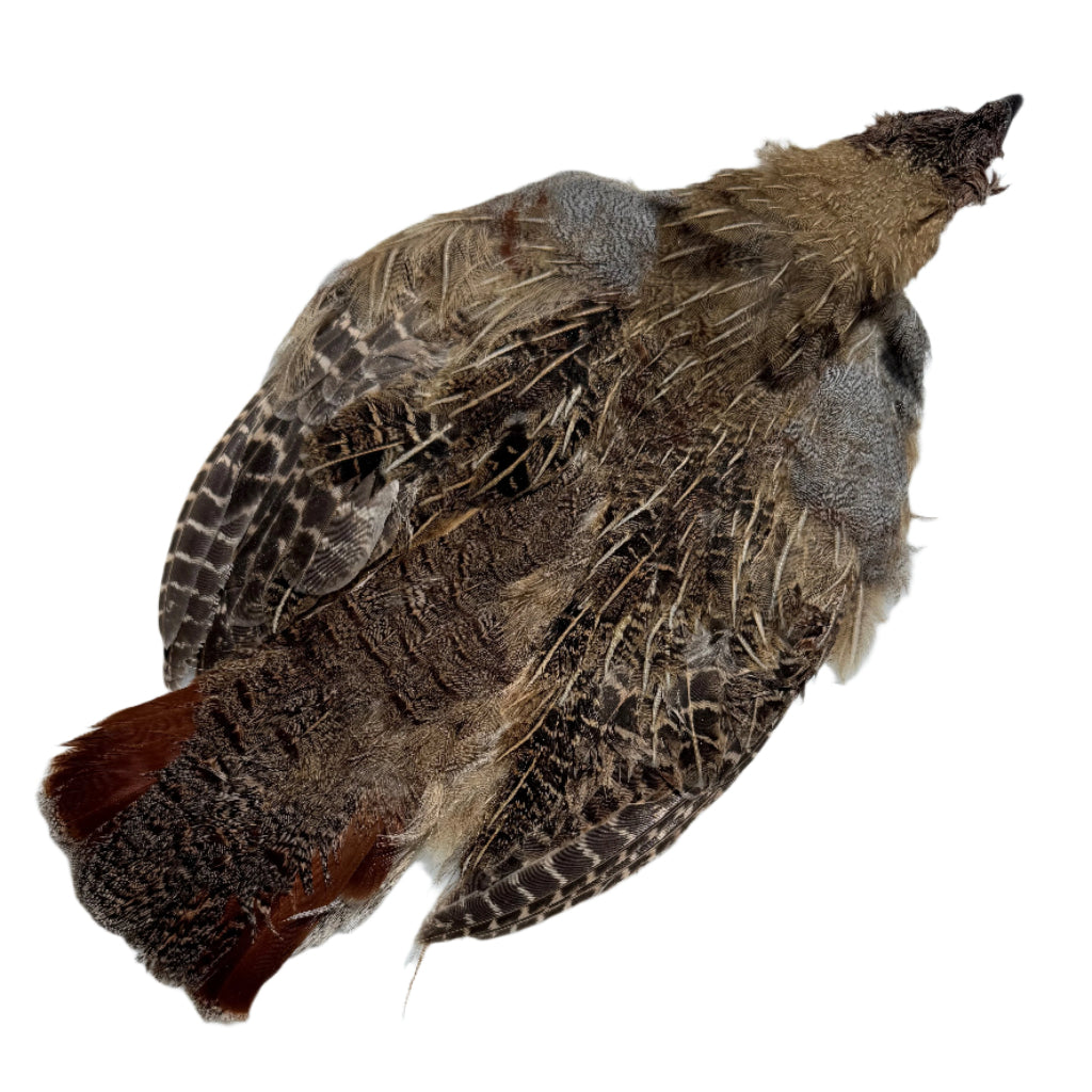 Wild Hungarian Partridge Skins - Grade-3 - Feather Craft Fly Fishing