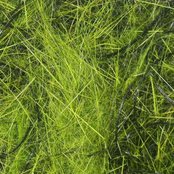 Hareline Hare'E Wiggle Dub - Feather Craft Fly Fishing