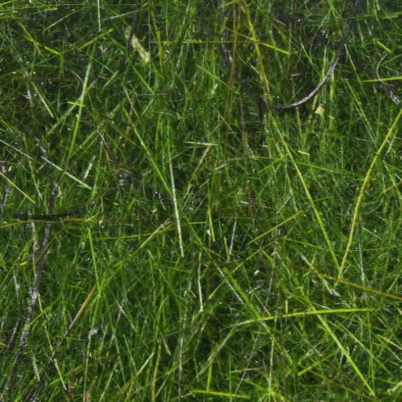 Hareline Hare'E Wiggle Dub - Feather Craft Fly Fishing