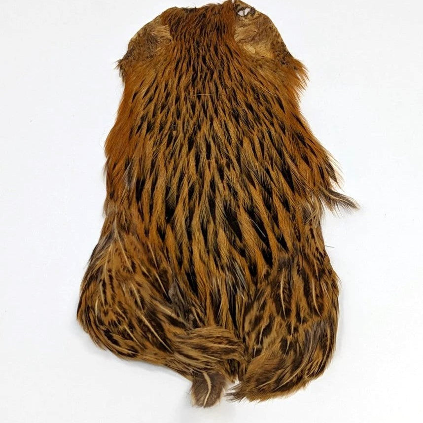 India Hen Necks - Feather Craft Fly Fishing