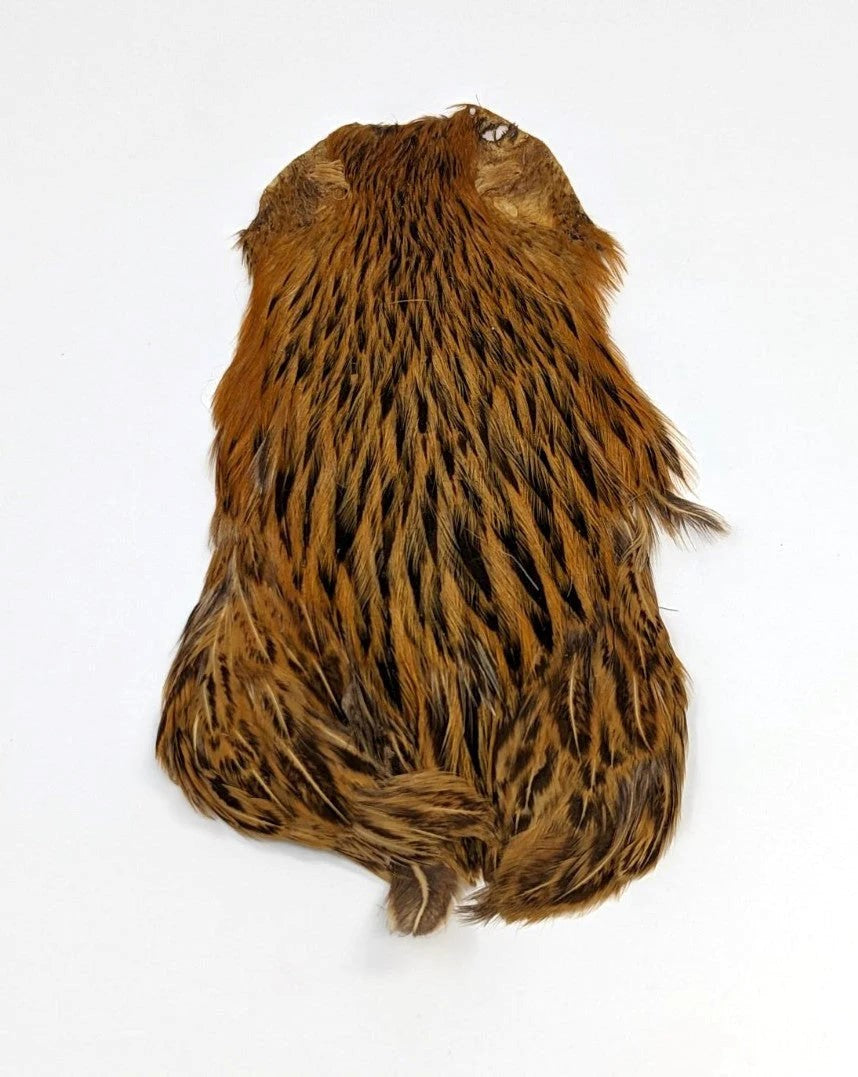 India Hen Necks - Feather Craft Fly Fishing