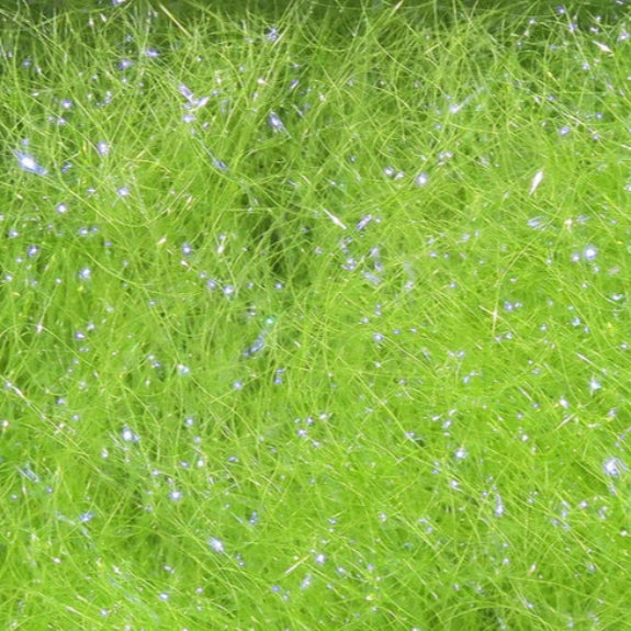 Hareline Ice Dubbing - Feather Craft Fly Fishing