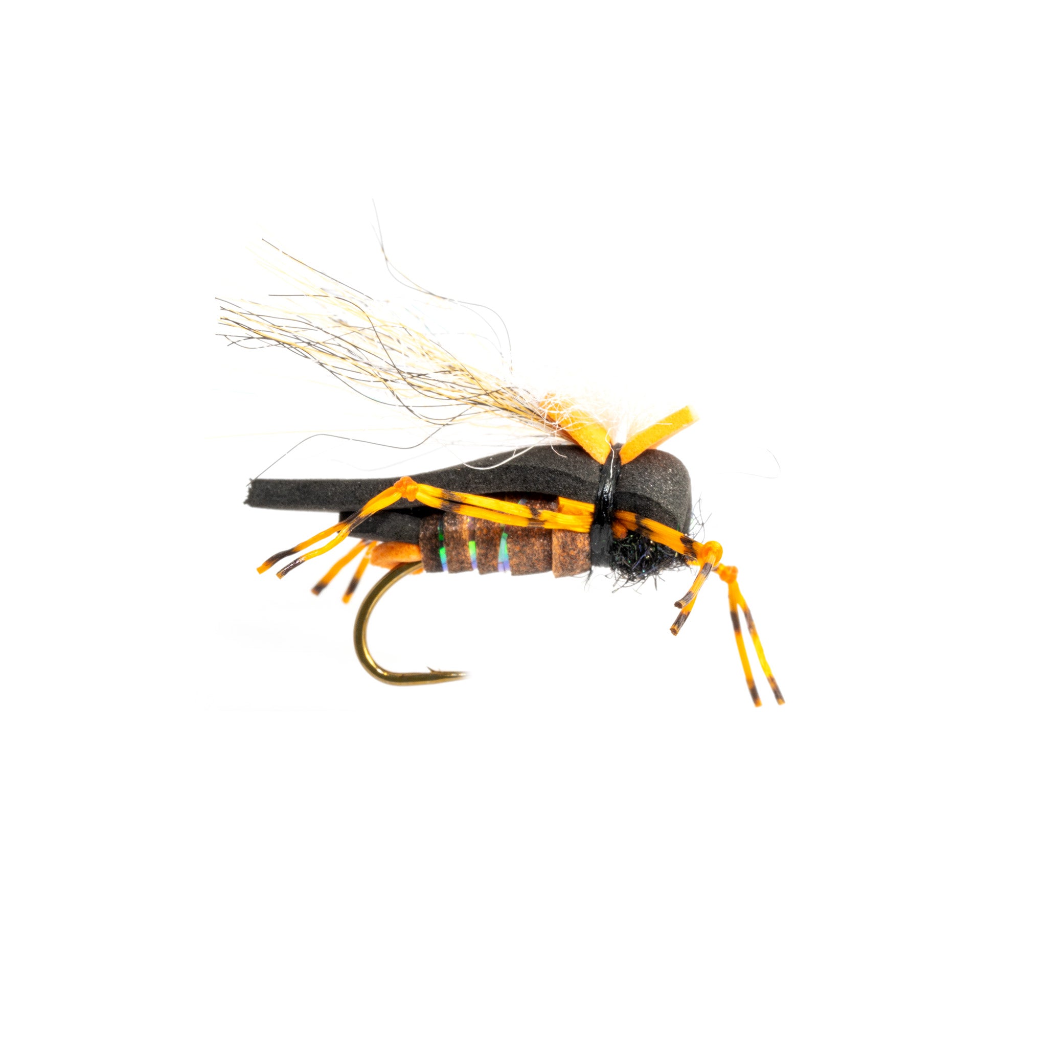 Masons Hipster Doofus Cicada - Feather Craft Fly Fishing