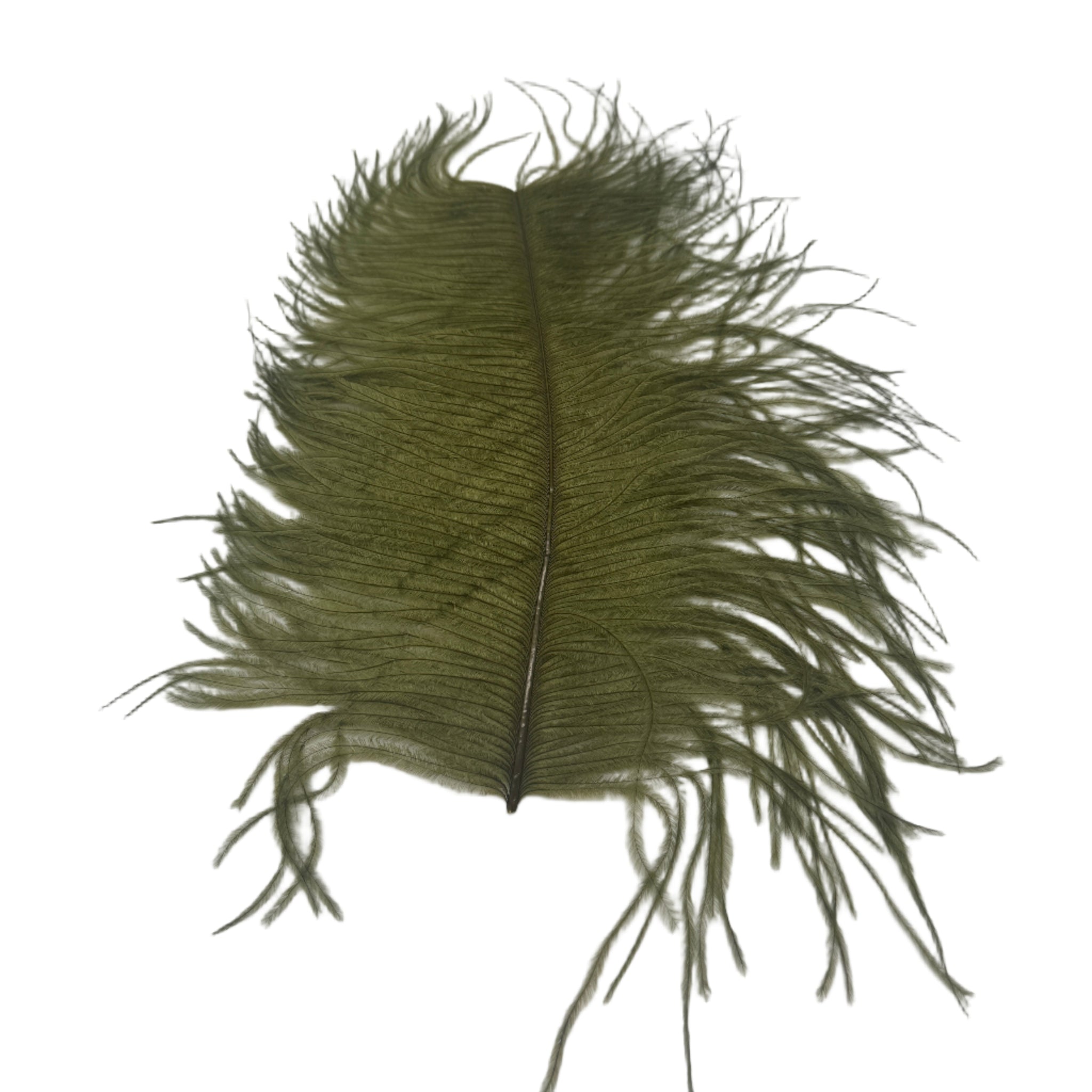 Olive Large Ostrich Plume for Fly Tying