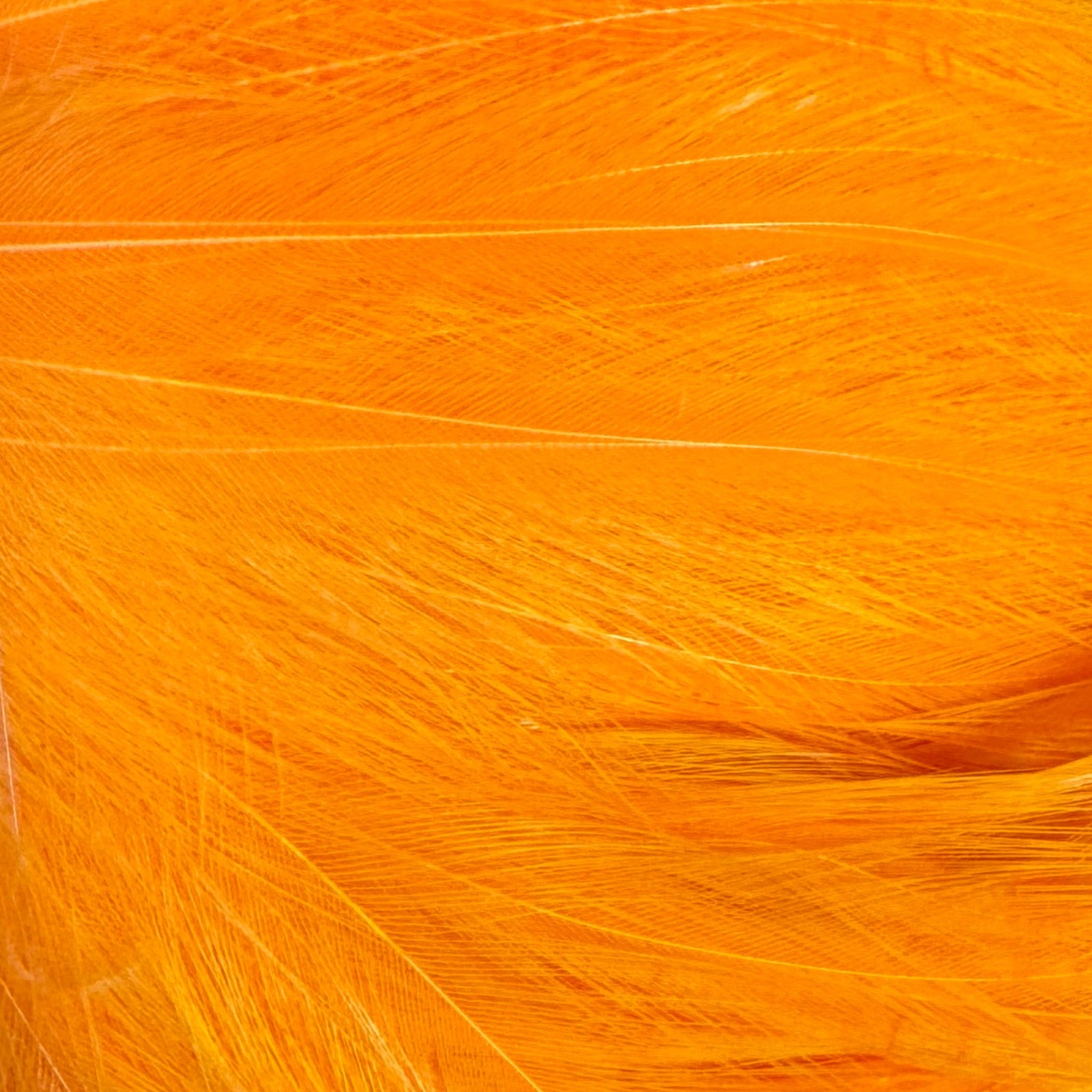 Orange Saltwater Neck Hackle for Fly Tying