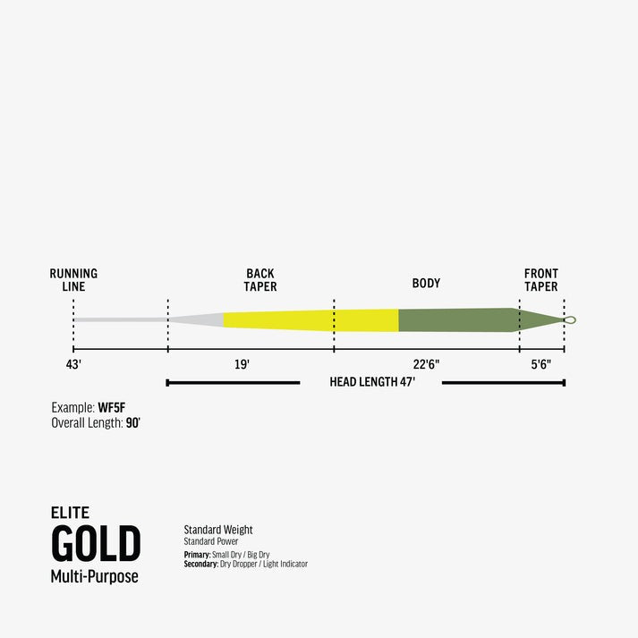 Rio Elite Gold Fly Line Taper