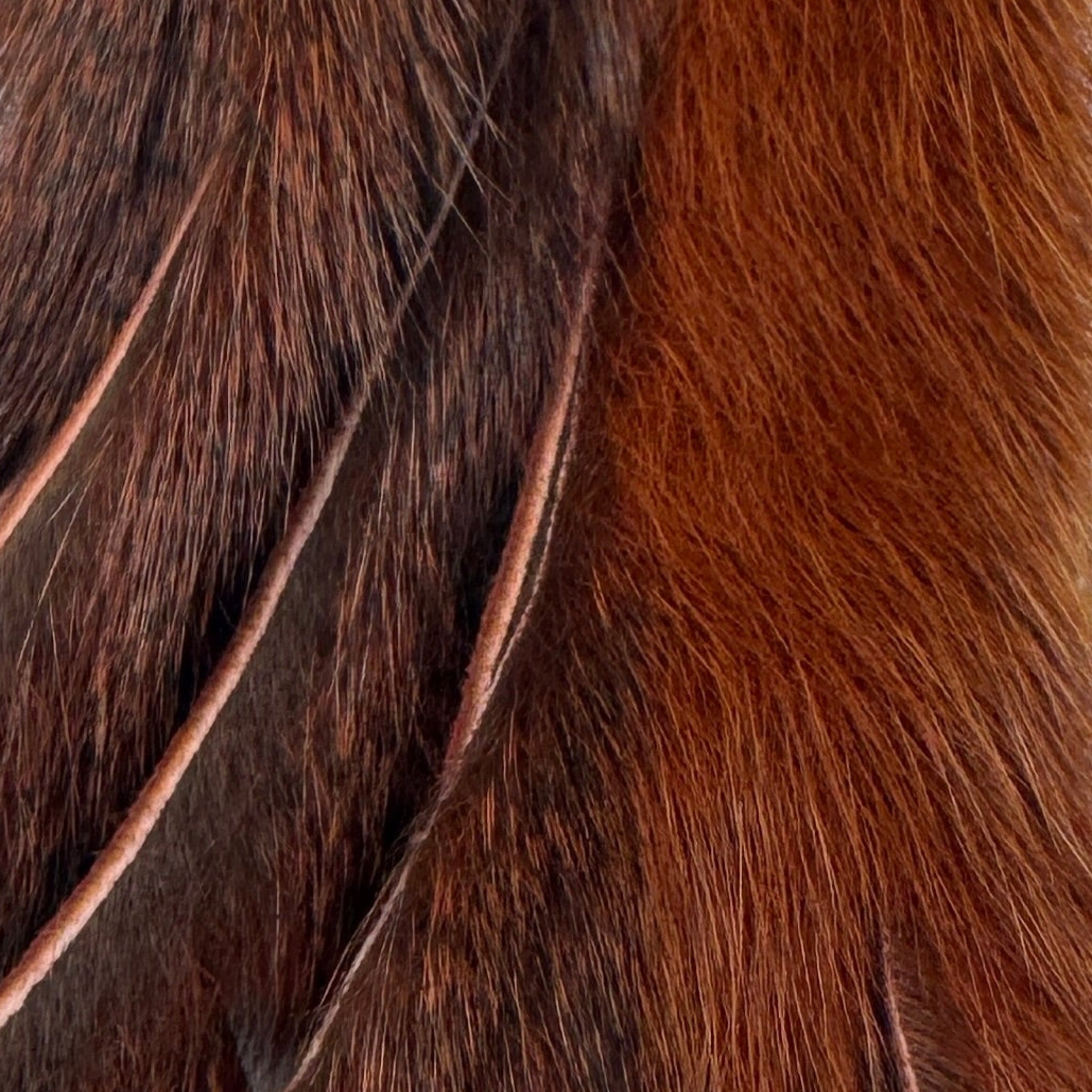 Rust Pine Squirrel Skins Zonked for Fly Tying