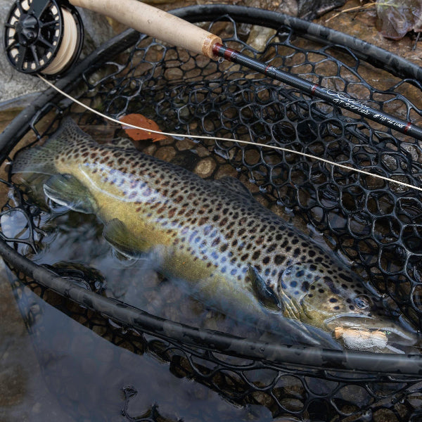 Scott GT Fly Rods Brown Trout