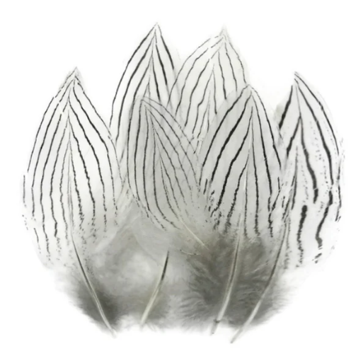 Silver Pheasant Body Feathers - Feather Craft Fly Fishing