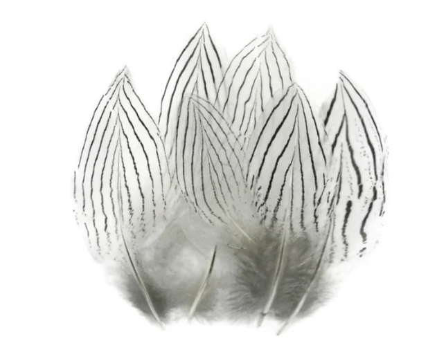 Silver Pheasant Body Feathers - Feather Craft Fly Fishing