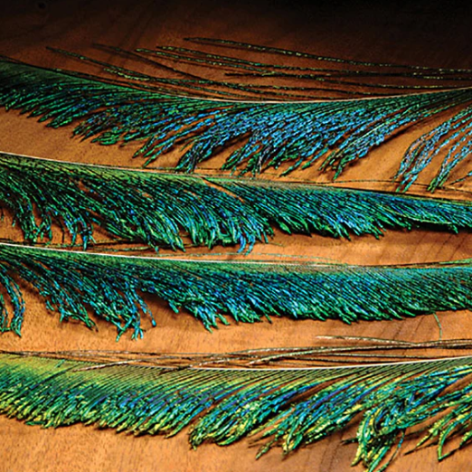 Peacock Swords - Feather Craft Fly Fishing