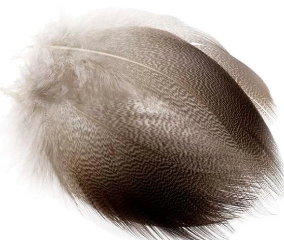 Natural Bronze Mallard - Feather Craft Fly Fishing