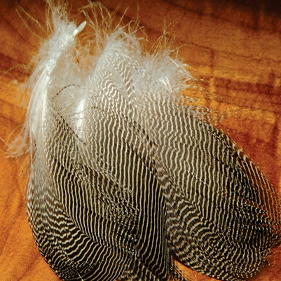Gadwall Flank - Feather Craft Fly Fishing