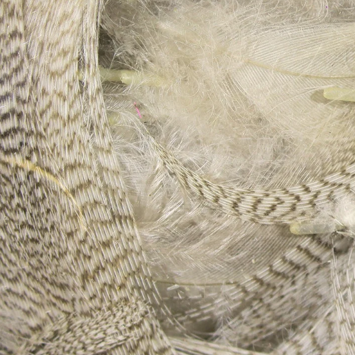 Natural Mallard Flank - Feather Craft Fly Fishing