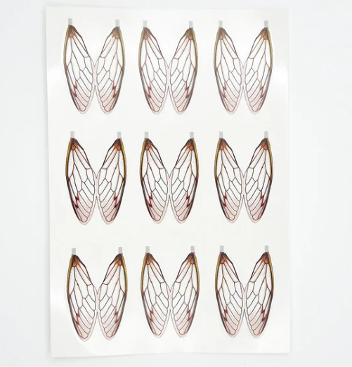 Surface Seducer Cicada Wings - Feather Craft Fly Fishing