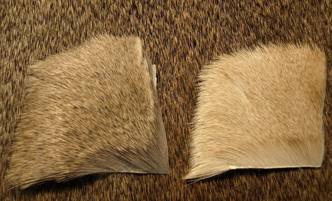 Bleached Deer Hock - Feather Craft Fly Fishing