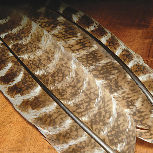 Ozark Oak Mottled Wild Turkey Wing Quills - Feather Craft Fly Fishing