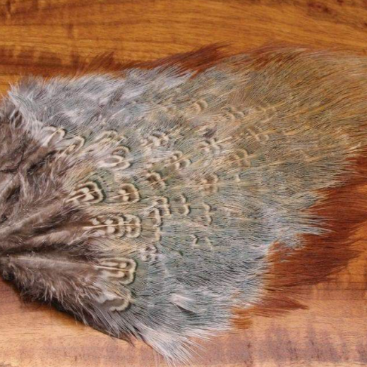 Wild Cock Ringneck Pheasant Rump Patches - Feather Craft Fly Fishing