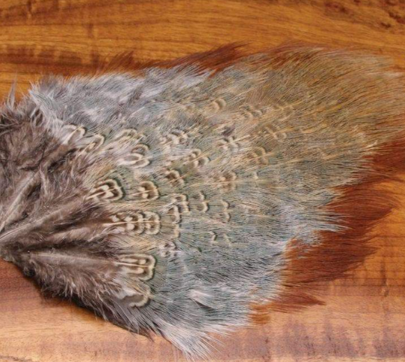 Wild Cock Ringneck Pheasant Rump Patches - Feather Craft Fly Fishing