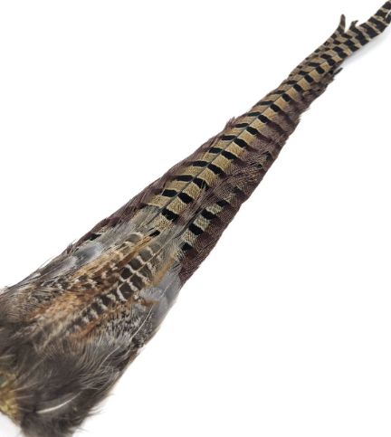 Wild Cock Ringneck Pheasant - Whole Tail Clumps - Feather Craft Fly Fishing
