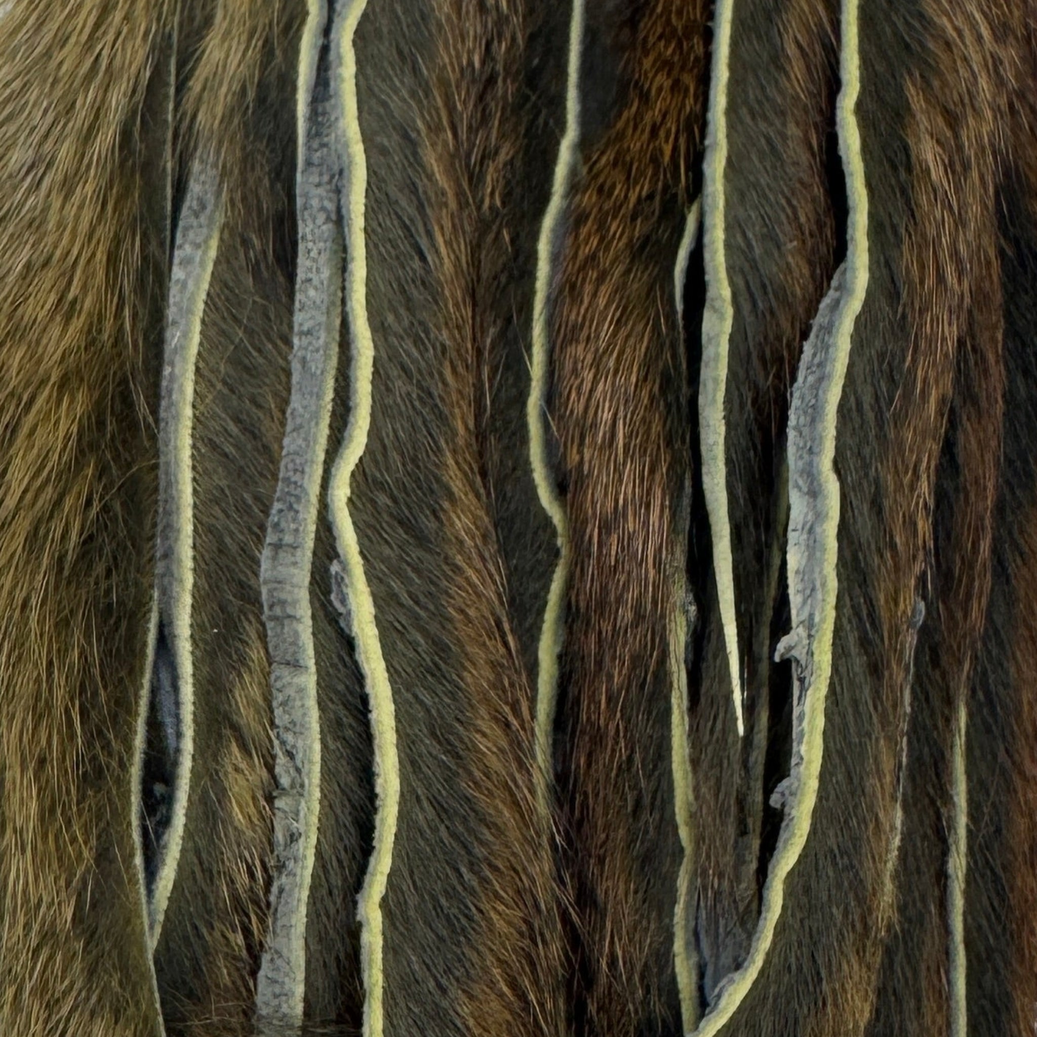 Sculpin Olive Pine Squirrel Skins Zonked for Fly Tying