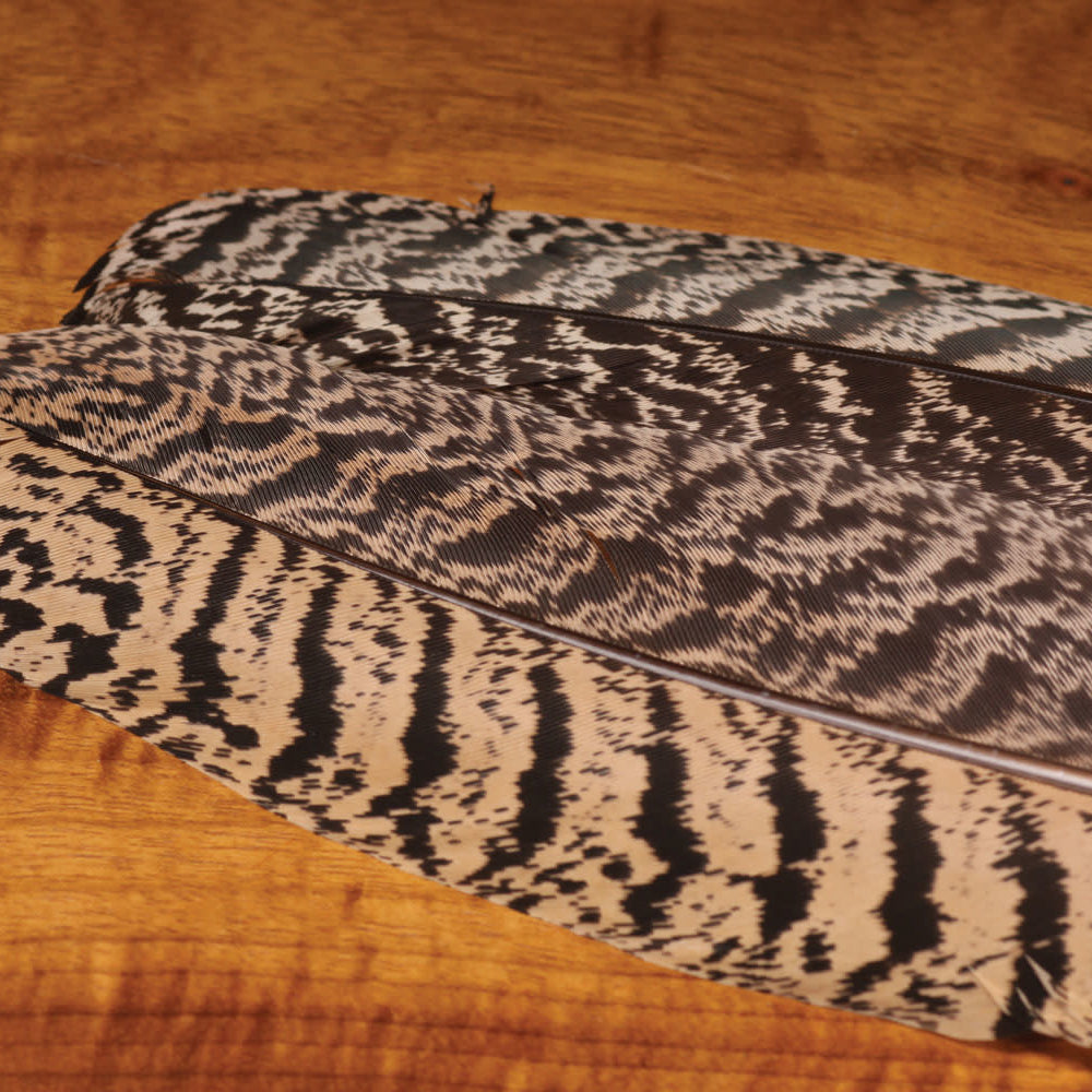 Mottled Peacock Wing Quill - Feather Craft Fly Fishing