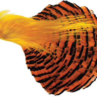 Golden Pheasant Complete Head - Feather Craft Fly Fishing