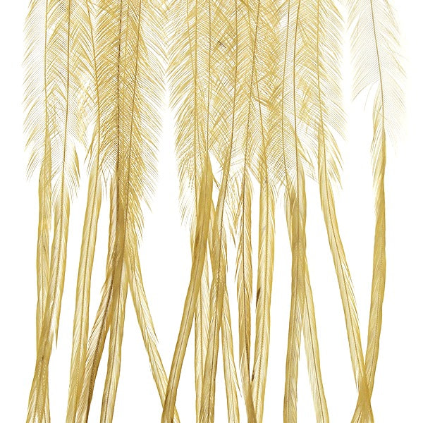 Whiting 100 Packs Light Ginger