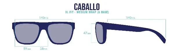 Bajío Caballo Sunglasses by Bajio