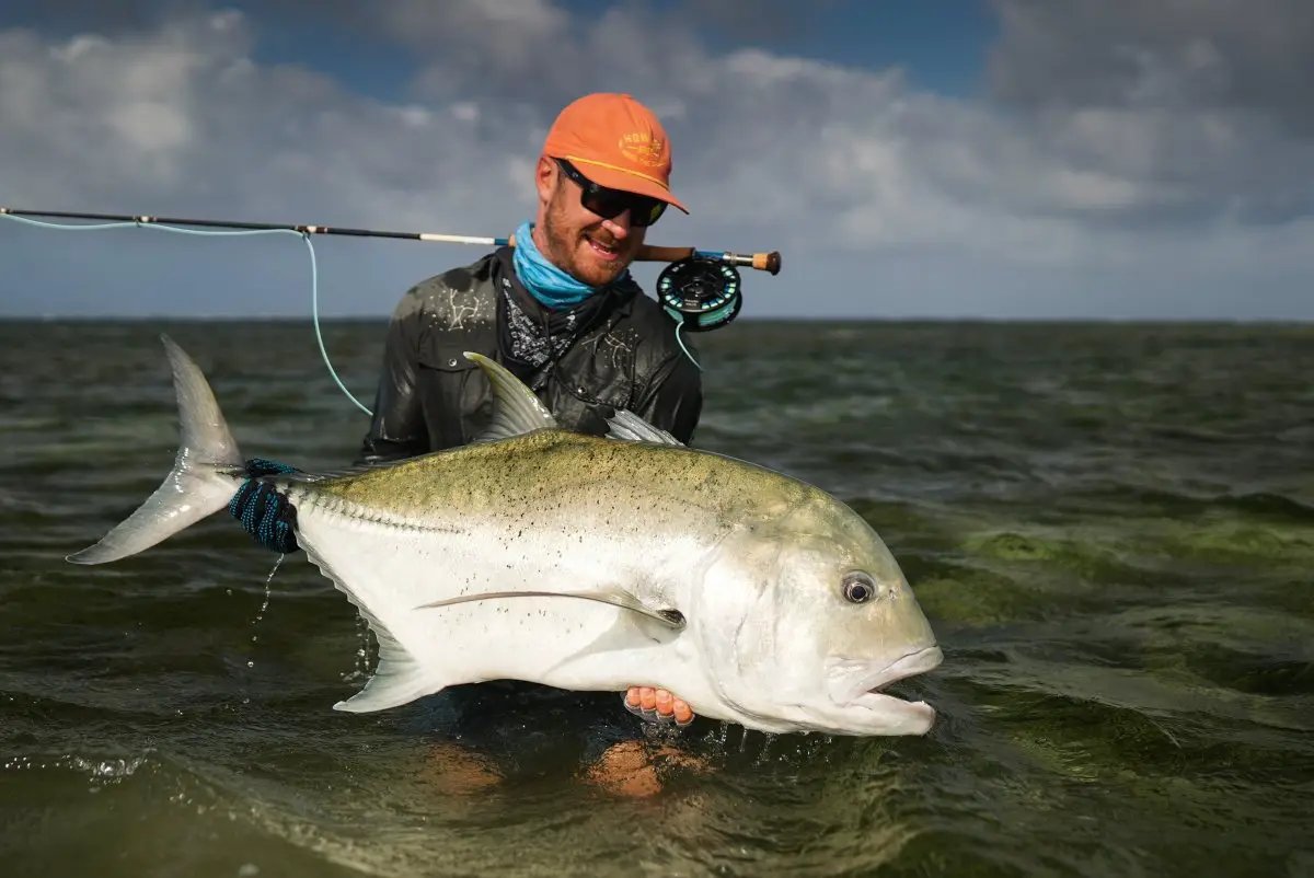 50+ Series Giant Trevally by Cortland Line Company