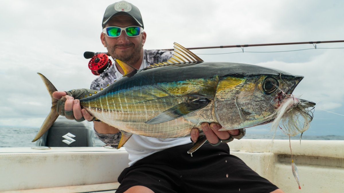 Cortland Line Company - 50+ Series Heavy Sink - Feather Craft Fly Fishing