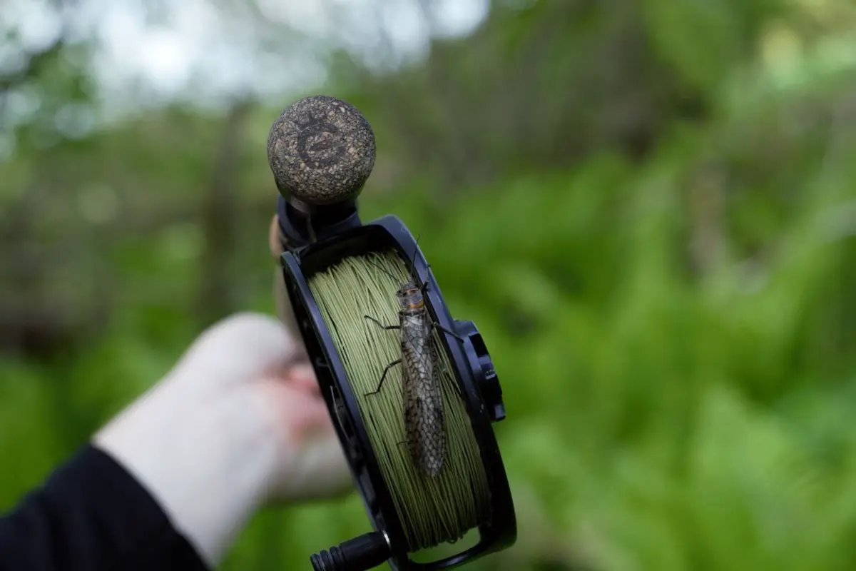 Euro Nymph Braid Core by Cortland Line Company