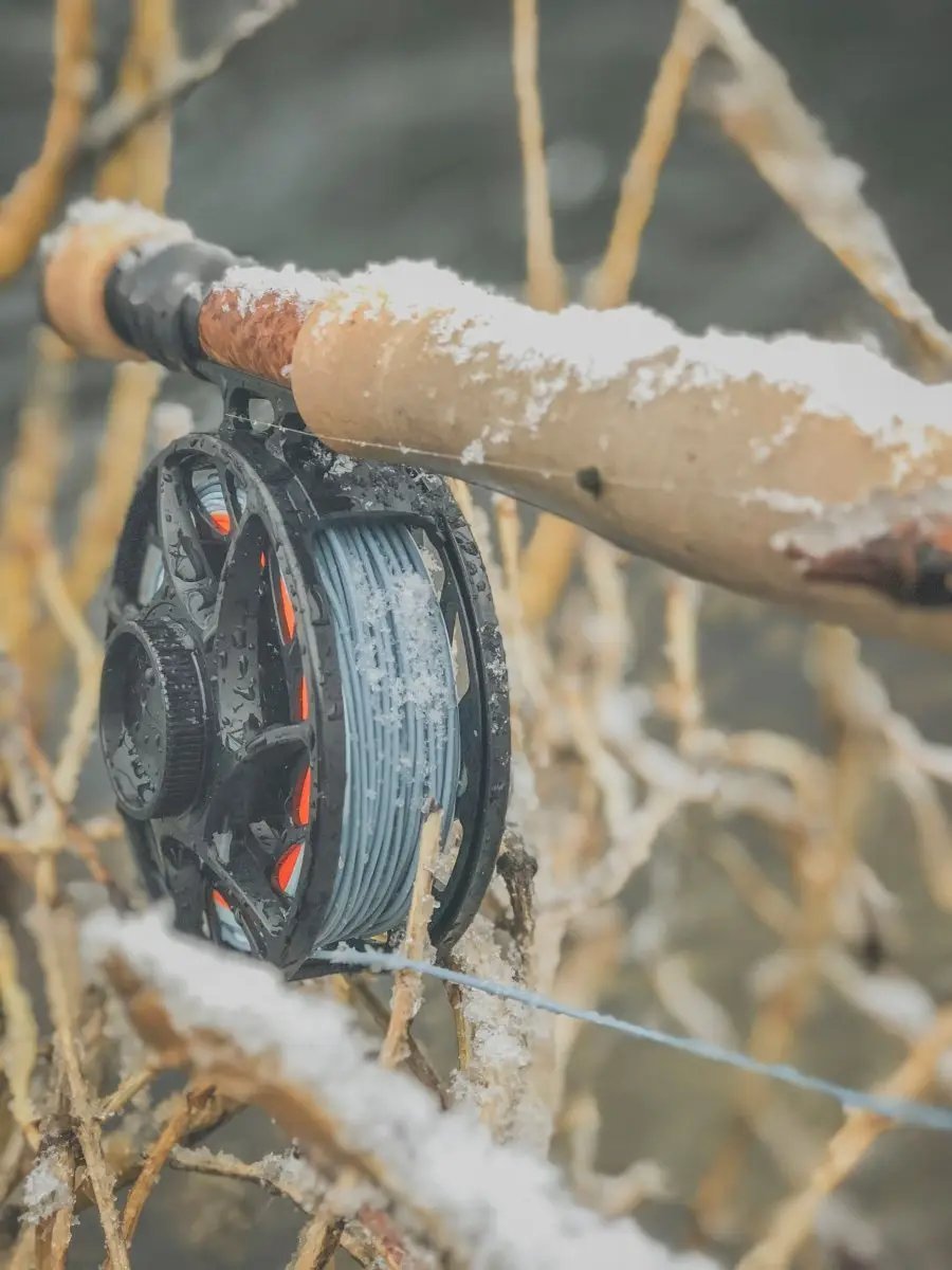 Finesse Trout II by Cortland Line Company