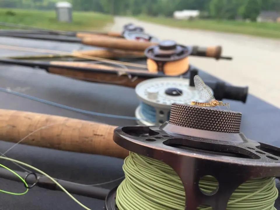 Modern Trout Moss Green by Cortland Line Company