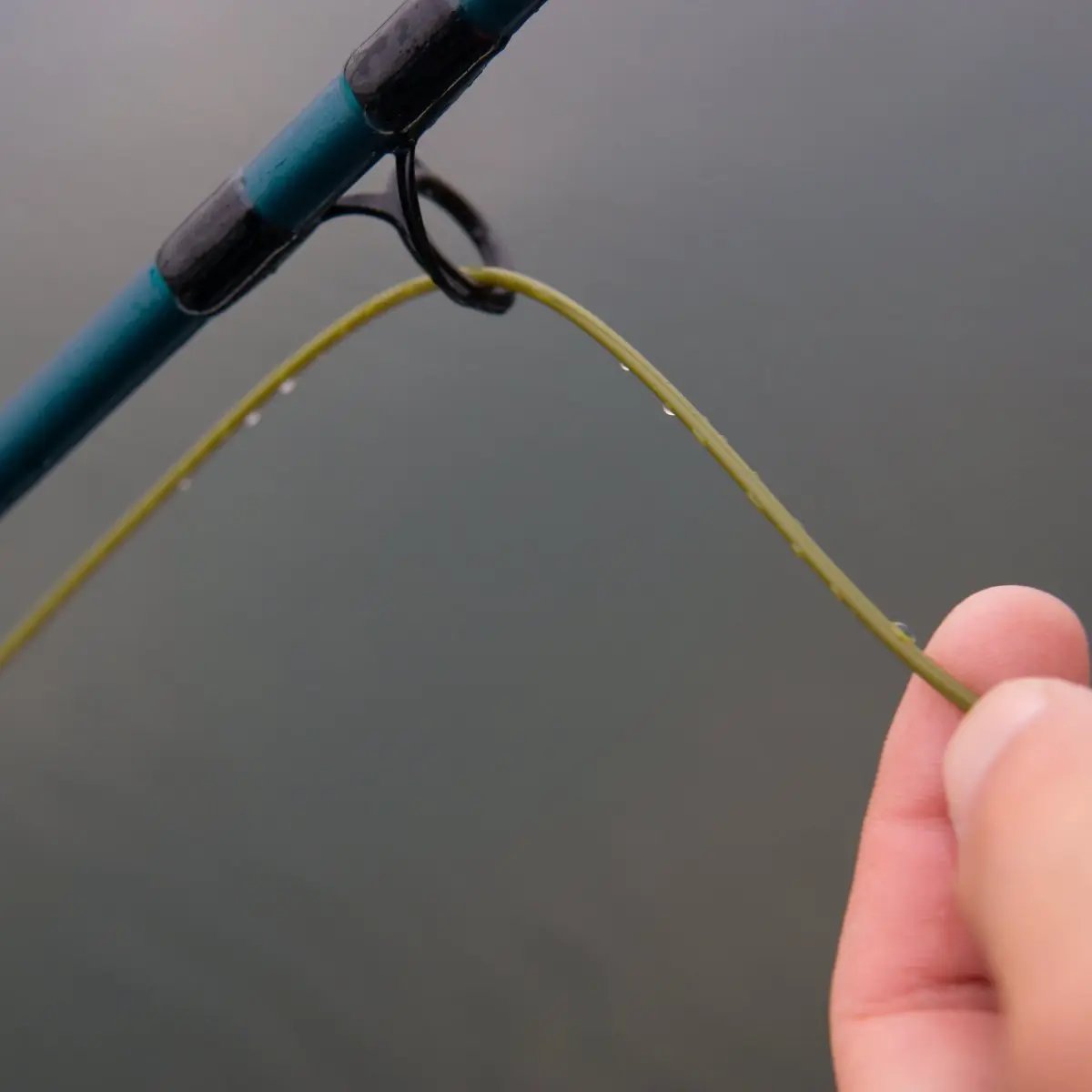 Pike Musky Intermediate by Cortland Line Company