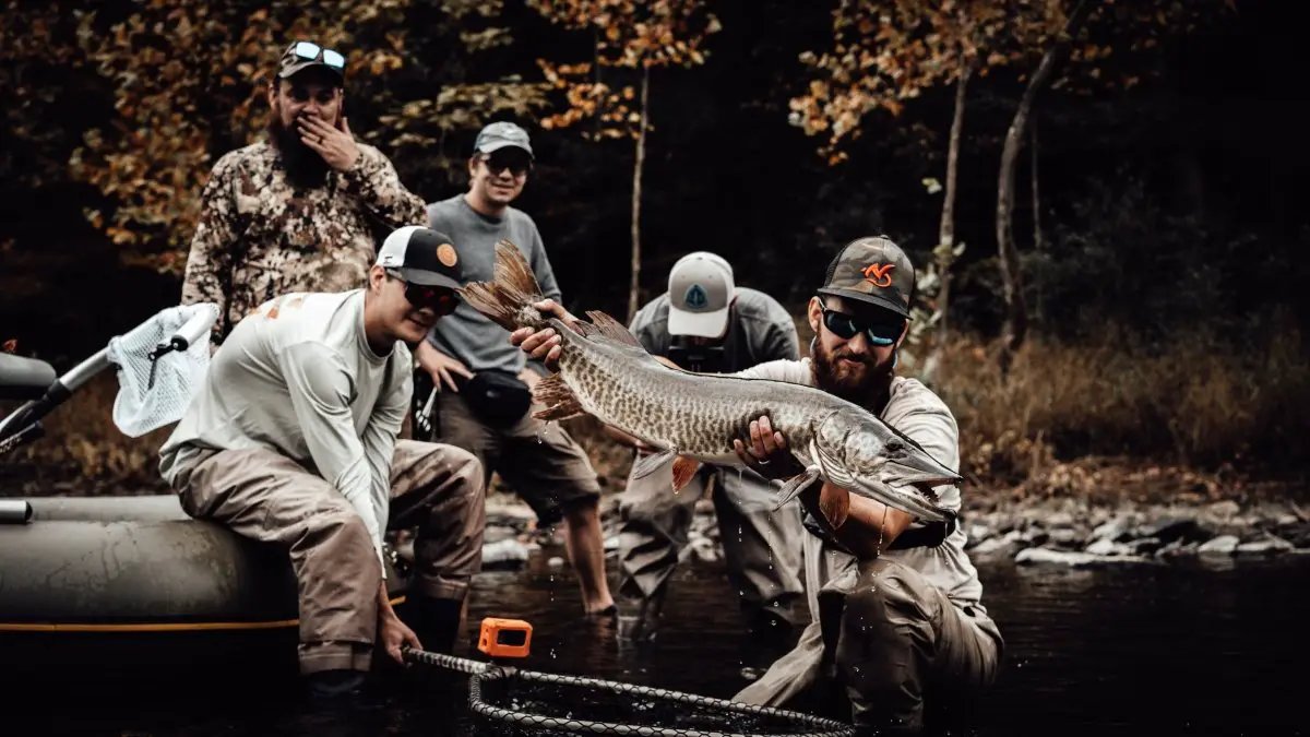 Pike Musky Sink 4 by Cortland Line Company