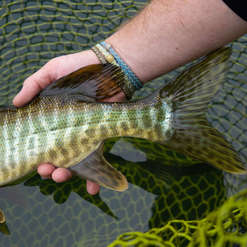Pike Musky Sink 8 by Cortland Line Company