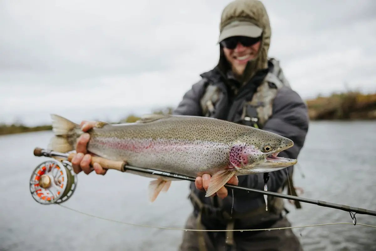 Streamer by Cortland Line Company