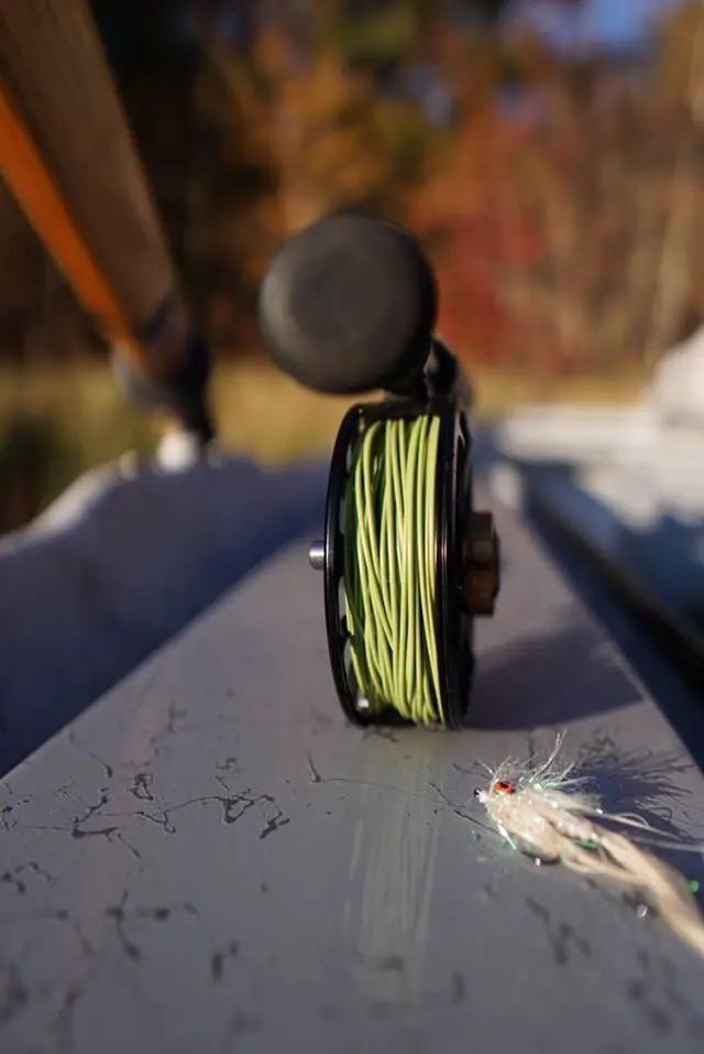 Streamer Sink Tip 10 by Cortland Line Company
