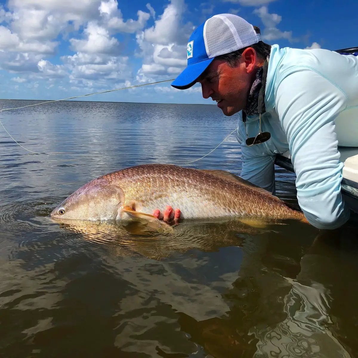 Tropic Redfish by Cortland Line Company