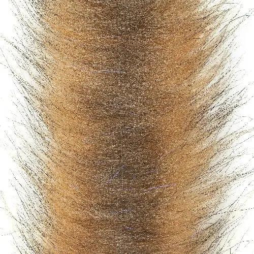 Enrico Puglisi Foxy Brush - 3 Inch Wide (2-Pack) by Enrico Puglisi