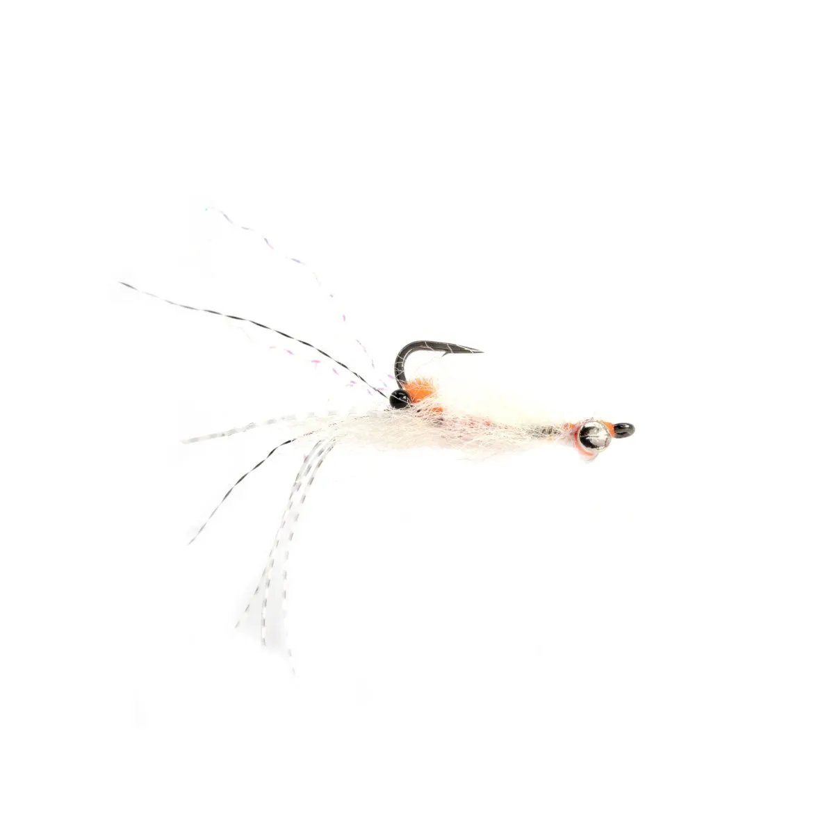 Enrico Puglisi Spawning Shrimp by Enrico Puglisi