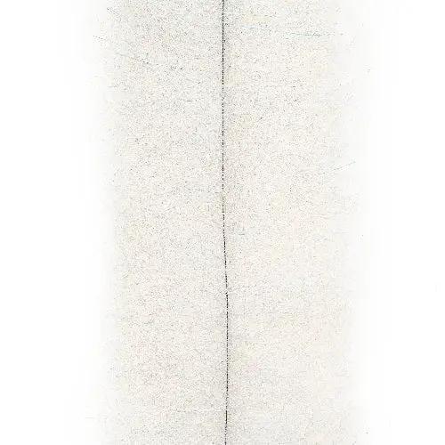 Enrico Puglisi Streamer Brush - 2.5 Inch Wide (2-Pak) by Enrico Puglisi