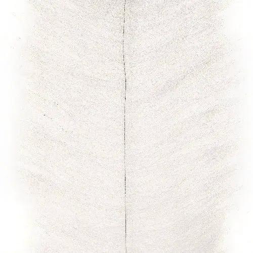 Enrico Puglisi Ultra Brush 2-Pak - 5-Inch Wide by Enrico Puglisi