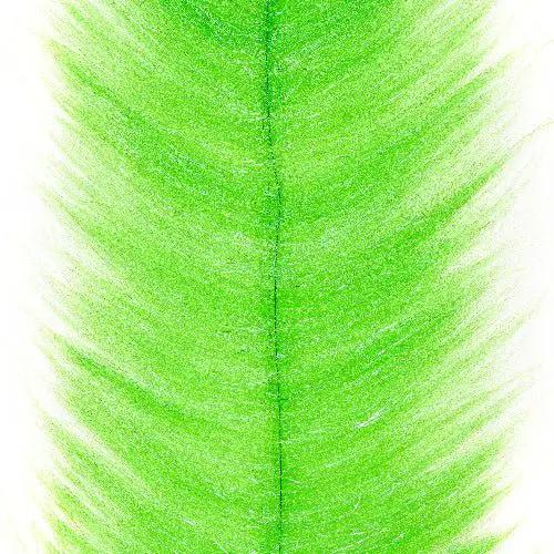 Enrico Puglisi Ultra Brush 2-Pak - 5-Inch Wide by Enrico Puglisi