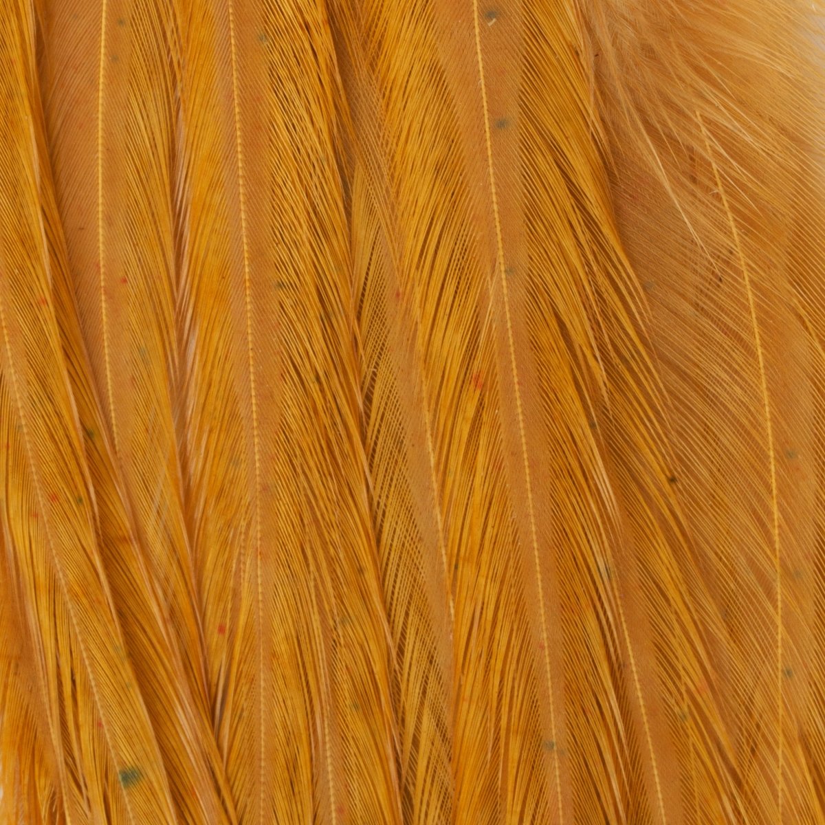 Ewing - Ewing Woolly Bugger Hackle Packs - Feather Craft Fly Fishing