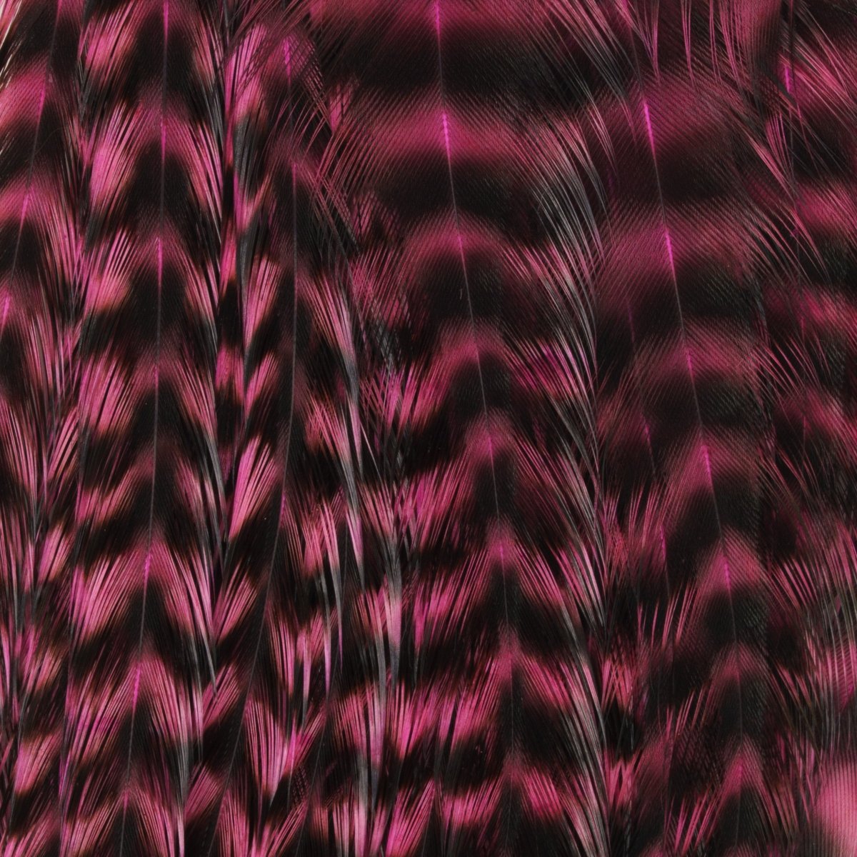 Ewing - Ewing Woolly Bugger Hackle Packs - Feather Craft Fly Fishing