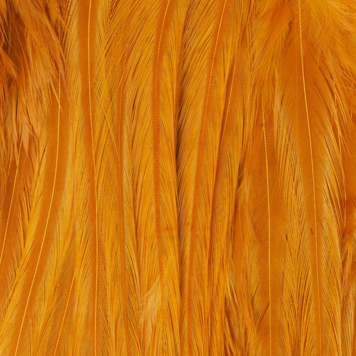 Ewing - Ewing Woolly Bugger Hackle Packs - Feather Craft Fly Fishing
