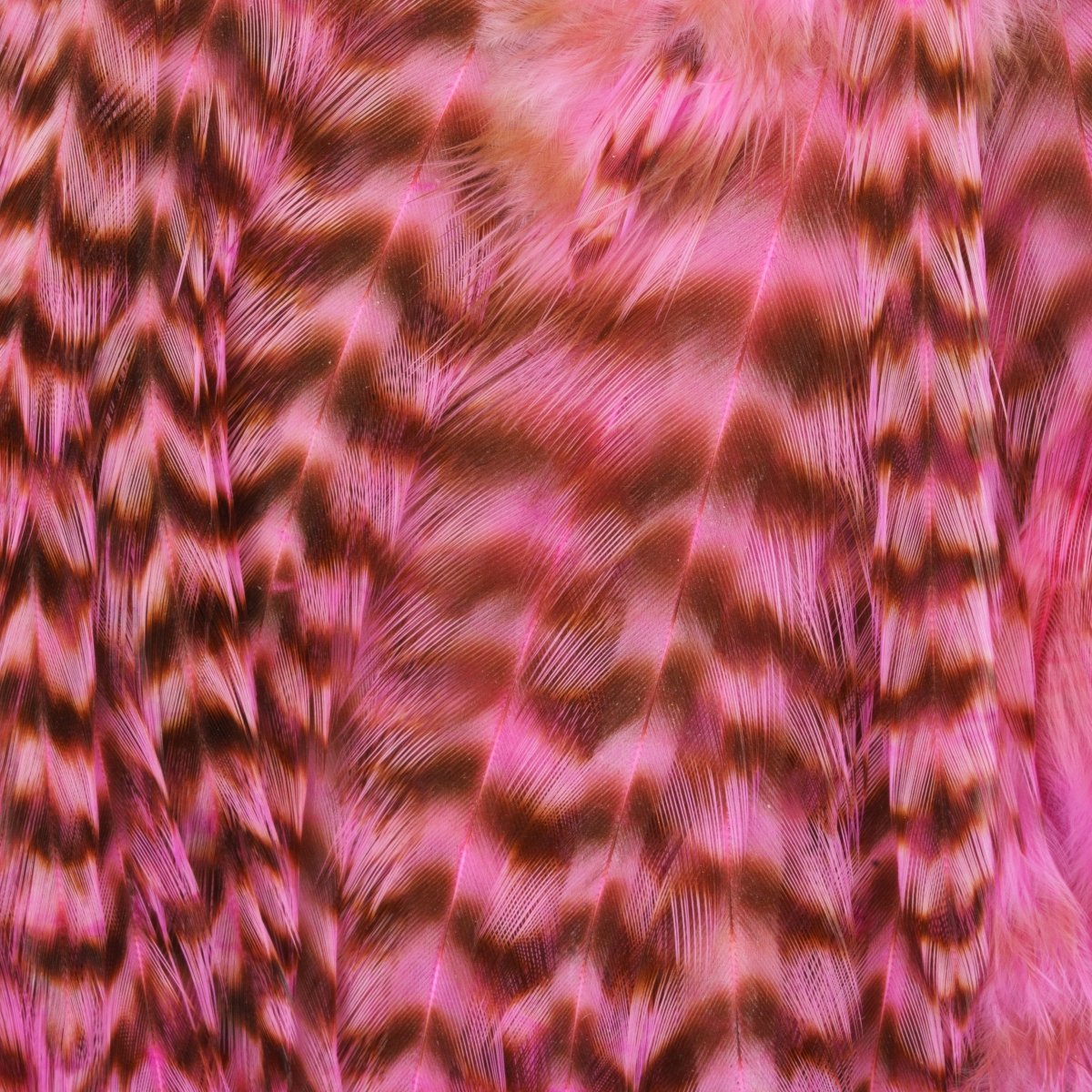 Ewing - Ewing Woolly Bugger Hackle Packs - Feather Craft Fly Fishing