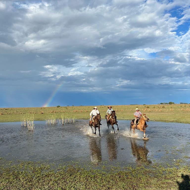 Feather Craft - Argentina Hosted Travel: Don Joaquín River Lodge - Feather Craft Fly Fishing